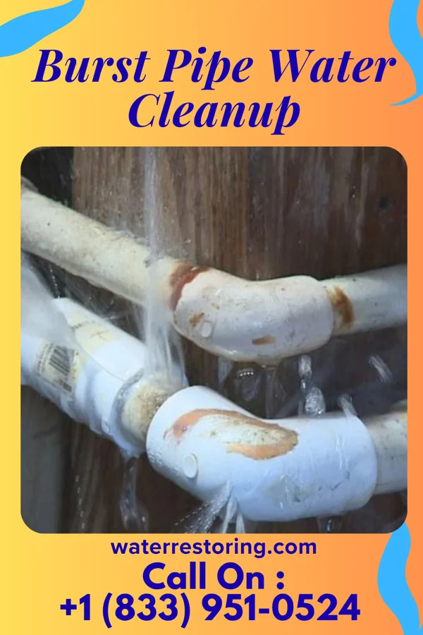 Burst Pipe Water Cleanup in Augusta, IL