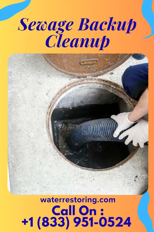 Sewage Backup Cleanup in Augusta, IL